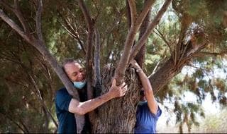 Una pareja abraza un árbol en un paseo organizado por la Autoridad de la Naturaleza y Parques de Israel.