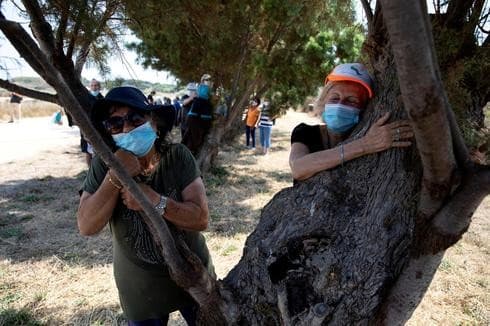 Las personas participan de la iniciativa de abrazar árboles en el Parque Nacional Apollonia, en Herzliya. (Reuters) Las personas participan de la iniciativa de abrazar árboles en el Parque Nacional Apollonia, en Herzliya.