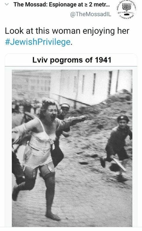 Un internauta judío respondió con sarcasmo al ataque antisemita en Twitter: "Miren el 'privilegio judío' del que disfruta esta mujer". Un internauta judío respondió con sarcasmo al ataque antisemita en Twitter: "Miren el 'privilegio judío' del que disfruta esta mujer".