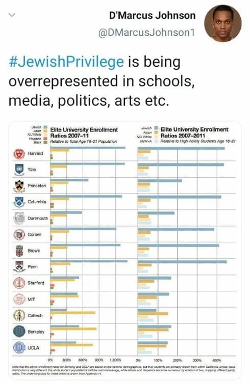 Tuit antisemita: “Los privilegiados judíos están sobrerrepresentados en los colegios, en la prensa, en la política, en el arte, etc”. Tuit antisemita: “Los privilegiados judíos están sobrerrepresentados en los colegios, en la prensa, en la política, en el arte, etc”.