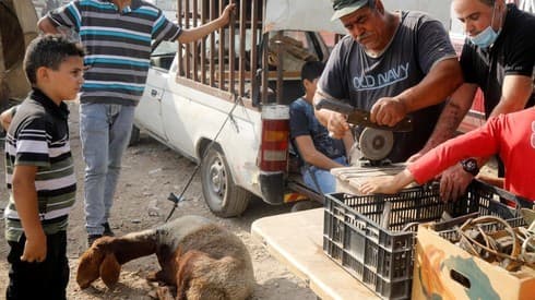 El año pasado se vendieron 115.000 ovejas para el sacrificio. Este año, la cifra será mucho menor. (Reuters) Sacrificio de Eid
