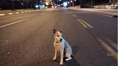 Una calle de Tel Aviv, desierta durante la cuarentena de Pascua. ¿Volverá la misma situación? 