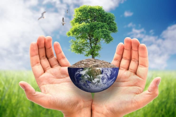Ecología