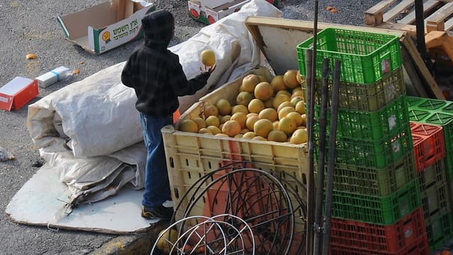 Un niño en busca de alimentos en Safed. 