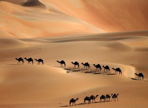 El desierto en los Emiratos Árabes Unidos. 