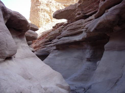 Desierto de Israel