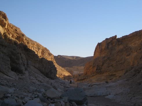Desierto de Israel