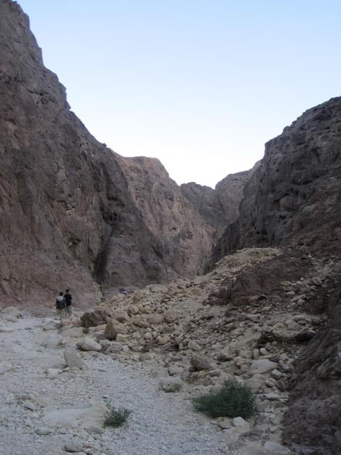 Desierto de Israel