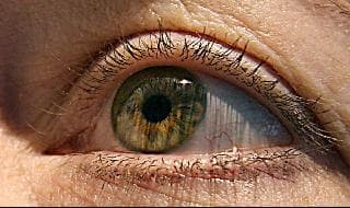 Un nuevo desarrollo de la Universidad de Tel Aviv permite ver colores impercetibles para el ojo humano.