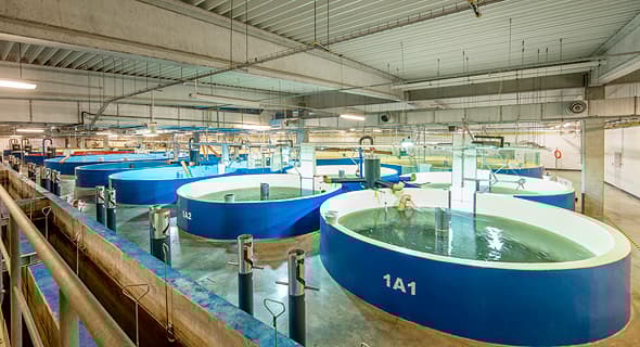 Centro de investigación de AquaMaof en Polonia. 
