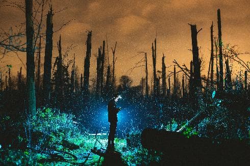 Una postal de nuestro tiempo: la comunicación y la destrucción de vegetación. (Dima Pechurin en Unsplash) Una postal de nuestro tiempo: la comunicación y la destrucción de vegetación.