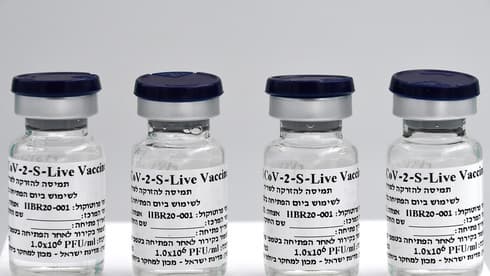 Viales de la vacuna israelí contra el COVID-19. (Instituto de Investigación Biológica de Israel) Viales de la vacuna israelí contra el COVID-19.