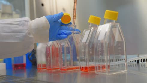 Laboratorio del Instituto de Investigación Biológica de Israel. 