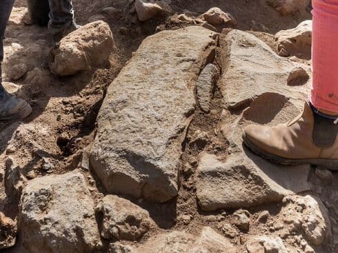 El hito fronterizo hallado en los Altos del Golán. (Asaf Peretz/Autoridad de Antigüedades de Israel) El hito fronterizo hallado en los Altos del Golán.