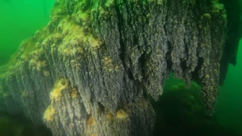 Estalactitas en el Lago Escondido. 