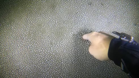 Lecho del lago con consistencia de "gelatina". 