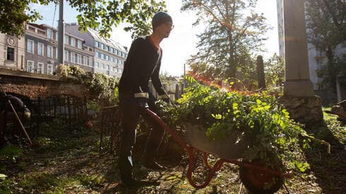 Un voluntario del cementerio levanta ramas y plantas.