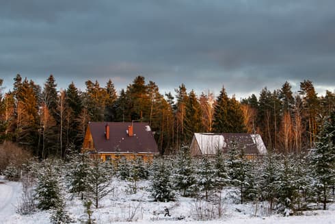 Casas de granjas en los bordes del bosque. 