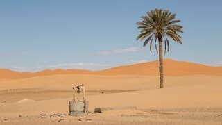 Desierto
