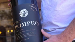 Vino Pompeo