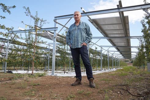 Shlomo Revach, agricultor pionero en la utilización de estas huertas solares. (Afi Shrir) Ciruelo Solar
