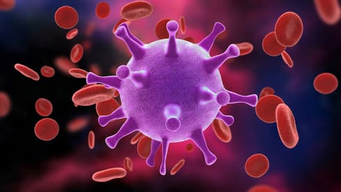 Virus HIV. 