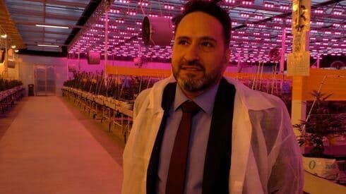Yona Levy, presidente y cofundador de Intelicanna. 