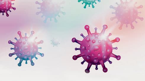 Alentadores noticias en la lucha contra el Coronavirus. 