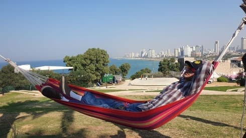 Lior Abufalia, "experto internacional", recurre a Google Maps para encontrar los árboles más aptos para colgar su hamaca. (Nitzan Dror) Hamaca Tel Aviv