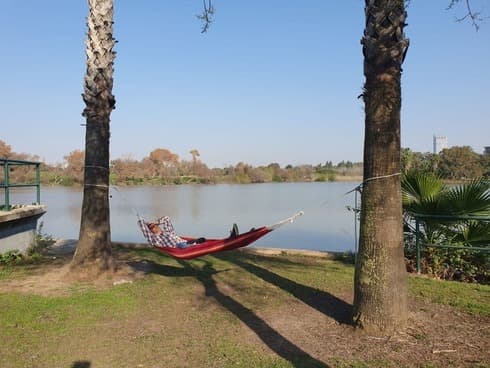 El mejor lugar de Tel Aviv para colgar una hamaca: a orillas del lago artificial del parque HaYarkon. (Nitzan Dror) Hamaca Tel Aviv