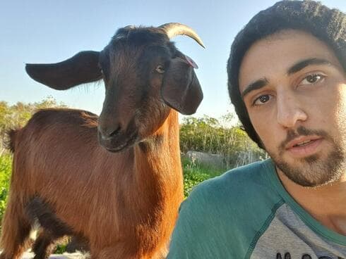 Tomer Rosenfeld ordeñaba cabras por la mañana y desarrollaba aplicaciones por la noche. (Tomer Rosenfeld) Tomer Rosenfeld ordeñaba cabras por la mañana y desarrollaba aplicaciones por la noche.