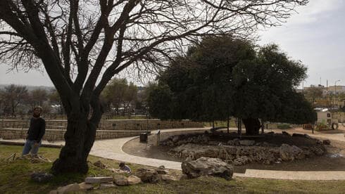 Un paseo construido por el Fondo Nacional Judío cerca del asentamiento Alon Shvut, en Cisjordania. (AP) Un paseo construido por el Fondo Nacional Judío cerca del asentamiento Alon Shvut, en Cisjordania.