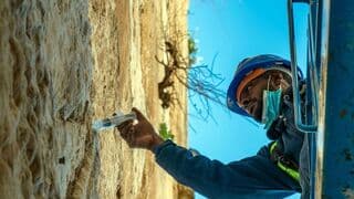 "Vacunación" del Muro de los Lamentos.