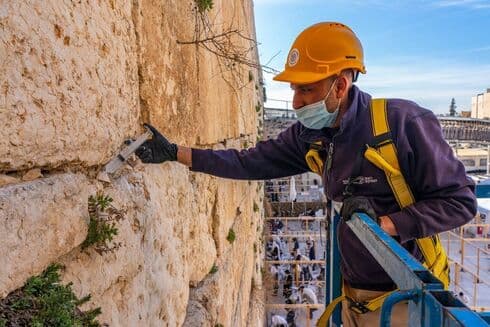 Israel cuida la "salud" del Muro de los Lamentos. (Yaniv Berman/Autoridad de Antigüedades de Israel) Israel cuida la "salud" del Muro de los Lamentos.