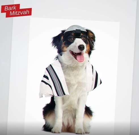 Imagen de la campaña de Yahadut Hatorah que compara a perros con judíos reformistas. 