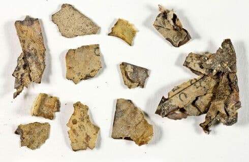 Fragmentos de los antiguos manuscritos descubiertos. (Autoridad de Antigüedades de Israel) Fragmentos de los antiguos manuscritos descubiertos.