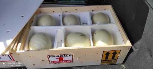 Huevos de avestruz acondicionados para su transferencia a Senegal. (Cortesía Roni Malka) Huevos de avestruz acondicionados para su transferencia a Senegal.