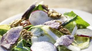 Se aconseja consumir una variedad de ensaladas en Pésaj.