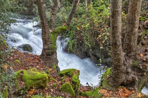 La cascada de Banias en el norte de Israel cerca del monte Hermón.