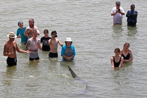 Un acercamiento peligroso a los tiburones en la costa de Hadera. 