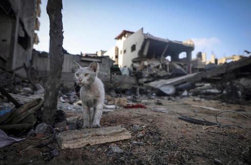 Destrucción en Gaza tras un bombardeo de las FDI.