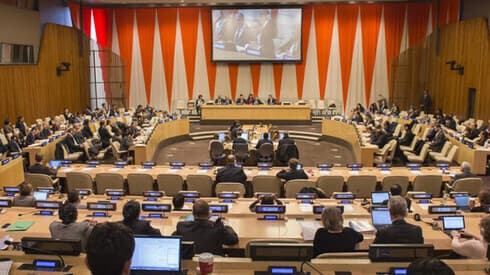 El Consejo Económico y Social de la ONU. 