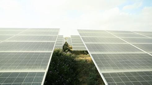 Parcela dual de energía solar y producción agrícola. 