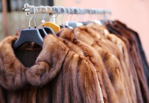 Los abrigos de piel ya no se podrán vender en los comercios israelíes. (Shutterstock) Los abrigos de piel ya no se podrán vender en los comercios israelíes.