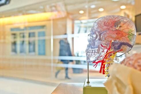 Las nuevas tecnologías aún no han hecho pie en el complejo campo de la neurología. (Jesse Orrico en Unsplash) Cerebro Alzheimer