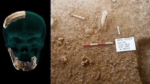 Parte del cráneo y la mandíbula hallados, y el sitio de la excavación donde fueron encontrados los restos fósiles. (Universidad de Tel Aviv) Parte del cráneo y la mandíbula hallados, y el sitio de la excavación donde fueron encontrados los restos fósiles.