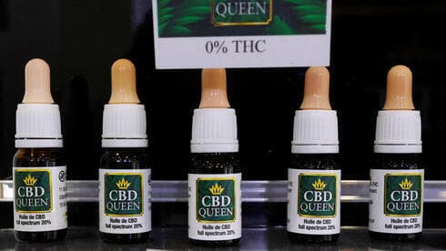 Se descubrió que el aceite de cáñamo rico en cannabidiol (CBD) es eficaz para aliviar los síntomas epilépticos. (Reuters) Se descubrió que el aceite de cáñamo rico en cannabidiol (CBD) es eficaz para aliviar los síntomas epilépticos.