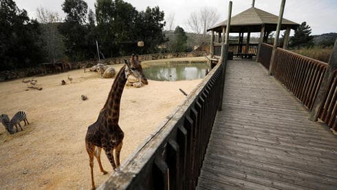 Zoológico Bíblico Jerusalem