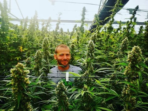 Matías Litvak rodeado de plantas de cannabis en la empresa israelí Better Medical Cannabis.