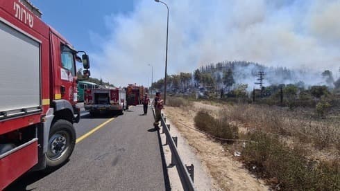 Al menos 14 dotaciones de bomberos luchan contra el fuego.